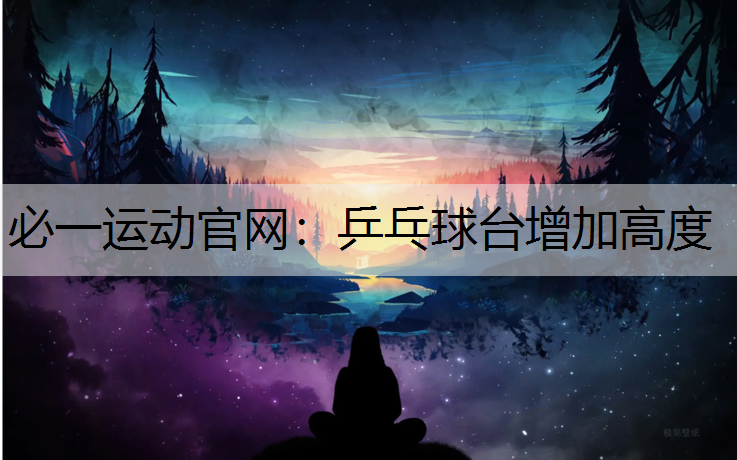 乒乓球台增加高度