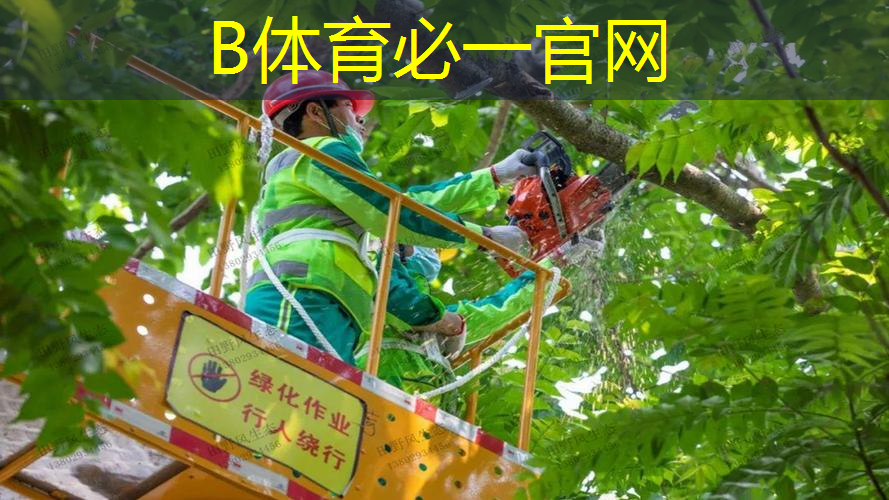 泰尼飞26寸网球拍