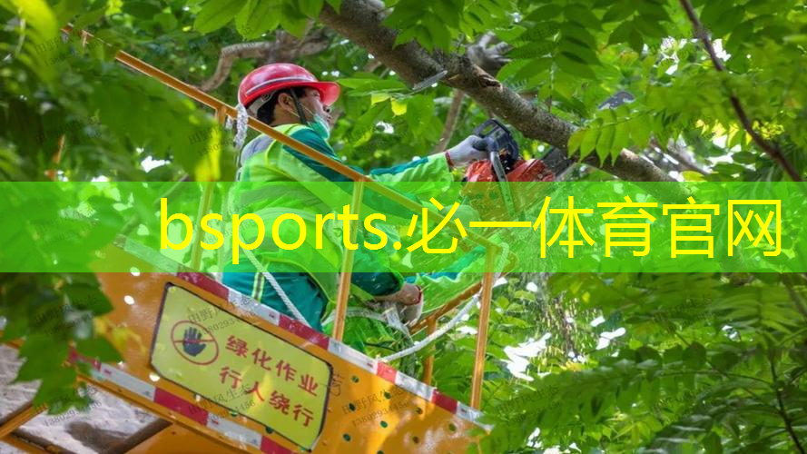 越前龙马网球拍手绘