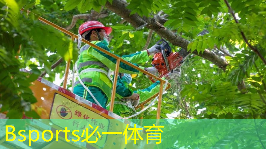 网球拍盒子是什么形状的