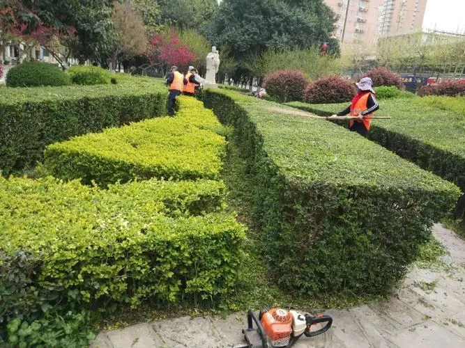 波力网球拍300元能用吗_