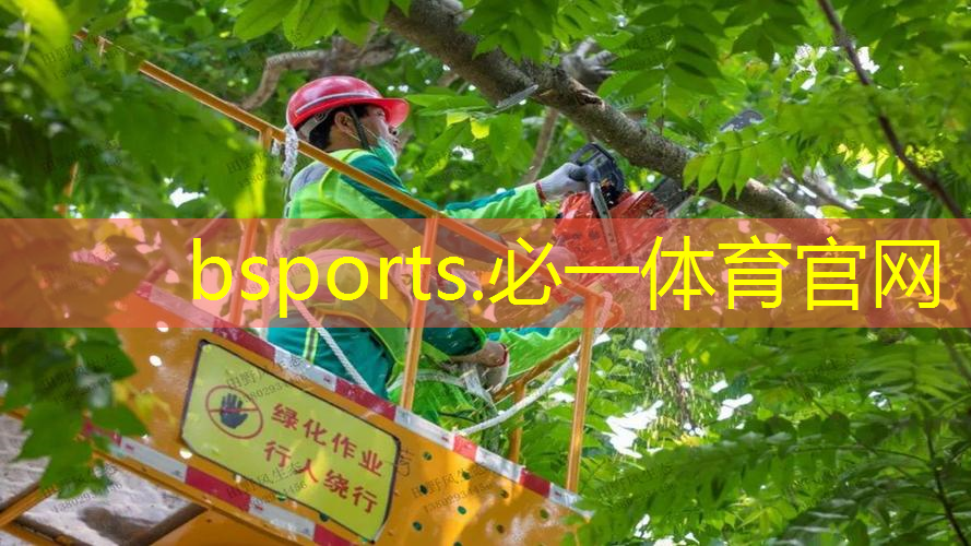 天龙网球拍碳素一体好吗_