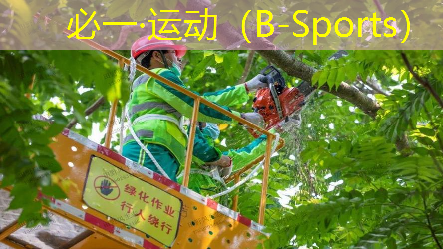 怎样选单人网球拍尺寸图