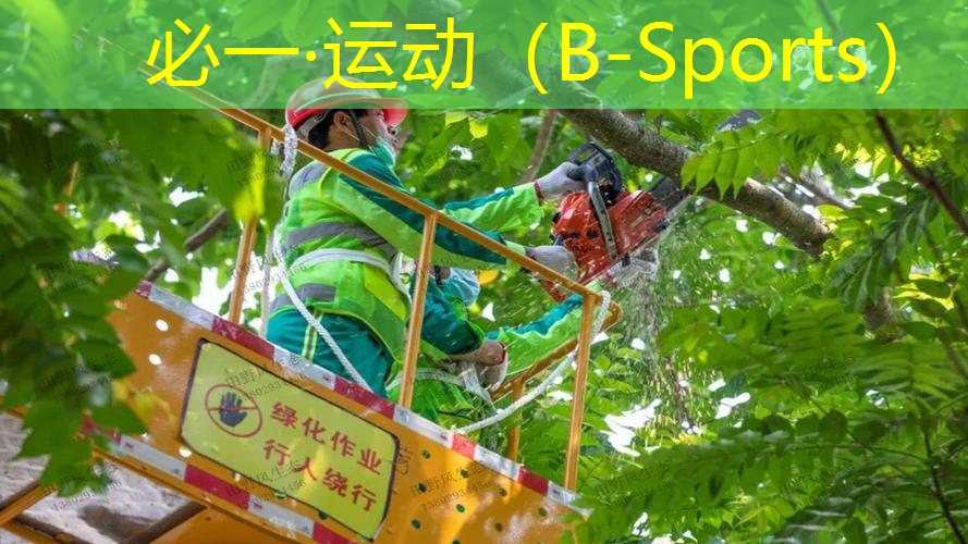 怎么样选网球拍尺寸